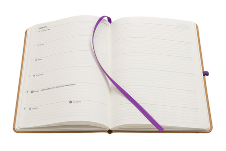 Kalendarz 2026 Kraft A5 TNS Lilie