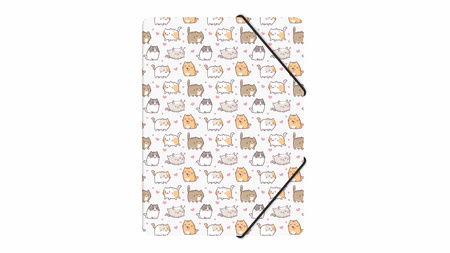 Teczka z gumką A4 pp z nadrukiem kittens