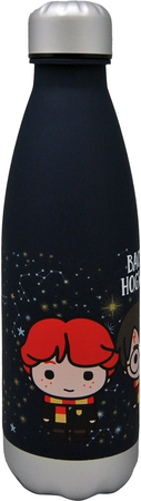 Bidon Harry Potter 650ml HP072