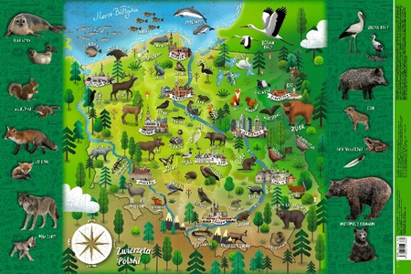 Mappuzzle junior. Podkładka mapa Polski zwierzątka