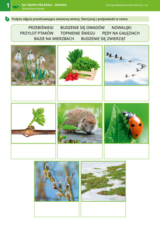 Na tropie pór roku Wiosna materiały dla uczniów z niepełnosprawnością intelektualną