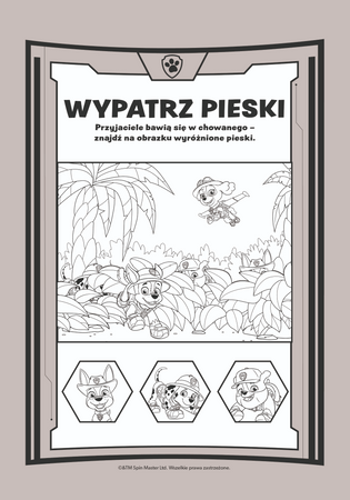 Zespół w akcji. Psi Patrol. Ekstrazdrapka