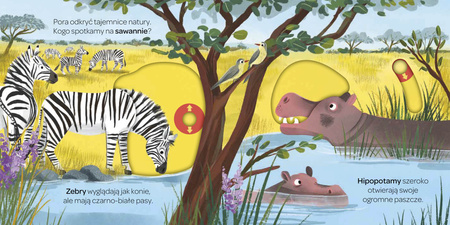 Na sawannie. Młodzi przyrodnicy