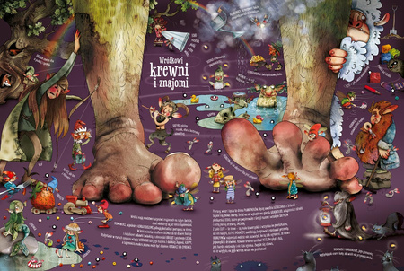 Fakty i plotki o wróżkach