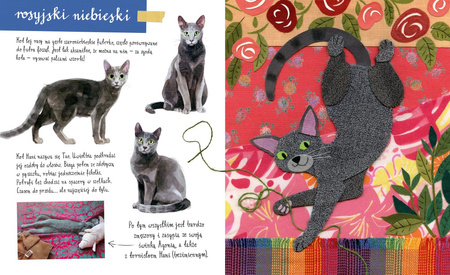 Mały atlas kotów (i kociaków) Ewy i Pawła Pawlaków wyd. 2022