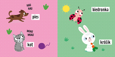 Pudełka bawidełka. Bawię się z Manią i Tyniem. Zestaw 10 pudełek do układania i kartonowa książeczka