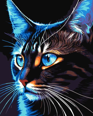 Malowanie po numerach Cosmo Cat 40x50 cm