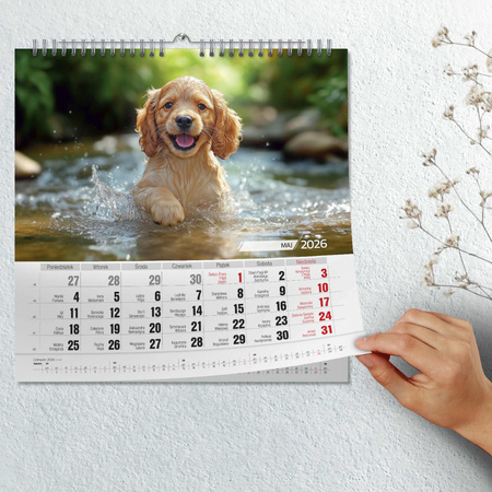 Kalendarz 2026  Przyjaciele kwadrat ścienny