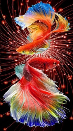 Diamentowa Mozaika Ryby czerwone NO-2000155