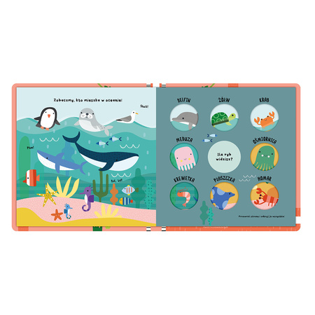 Zwierzęta duże i małe