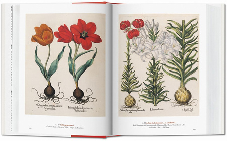 A Garden Eden. Masterpieces of Botanical Illustration. 40th Ed. wer. angielsko-francusko-niemiecka