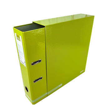 Segregator A4 z dźwignią z pudełkiem classic stripes limonka