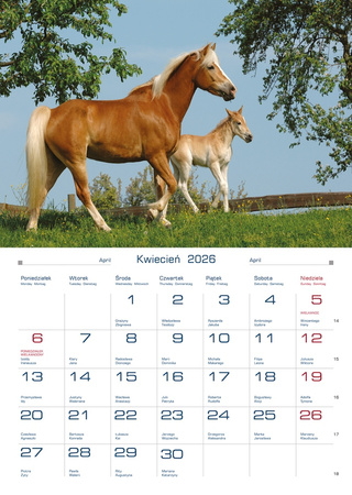 Kalendarz 2026 Domowy Konie