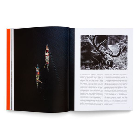 Voyages. Sidetracked Beyond