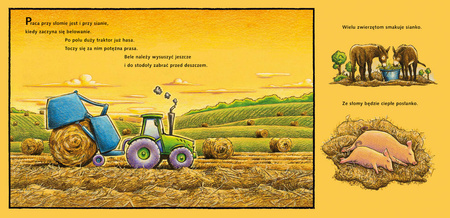 Na placu budowy… pasą się krowy!