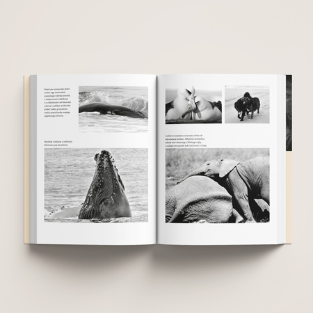 Co myślą i czują zwierzęta