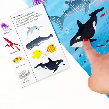 W oceanie. Ćwiczymy spostrzegawczość 18 mies.+ Pierwsza ekoksiążeczka Twojego Dziecka