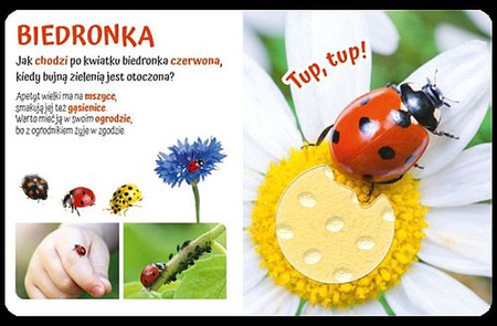 Pogłaszcz zwierzątko na łące. Przytulki