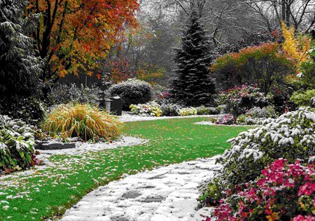 Kalendarz 2026 Ogrody KA-11