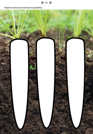 Poznaję i rozumiem świat Część 1 Karty pracy dla uczniów z niepełnosprawnością intelektualną, dla przedszkoli i zespołów rewalidacyjno-wychowawczych POZNAJĘ I ROZUMIEM ŚWIAT