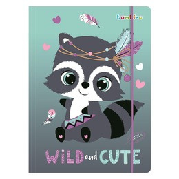 Paczka Teczka A4 z gumką Racoon 10 szt.