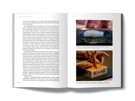 Umami. Jak smakuje Japonia