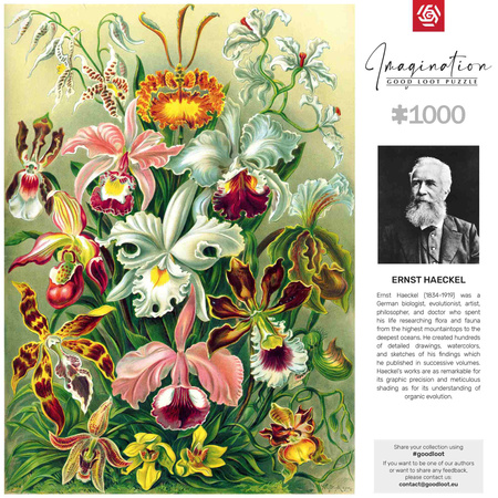 Puzzle 1000 Imagination Ernst Haeckel Orchidea