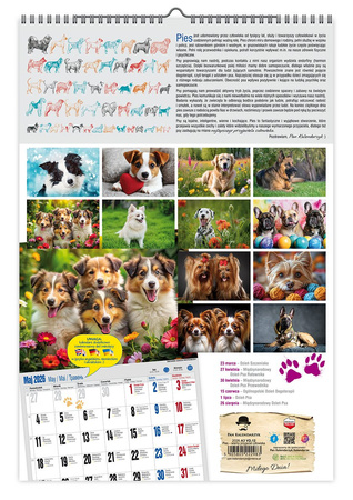 Kalendarz 2026 ścienny Pies przyjaciel człowieka A3 VD12