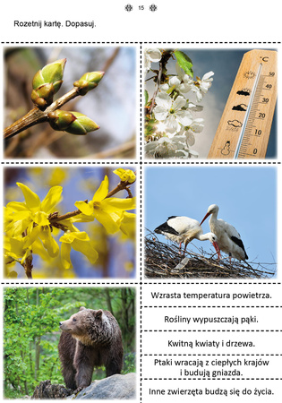 Mój rok część 3 Karty pracy dla uczniów z niepełnosprawnością intelektualną