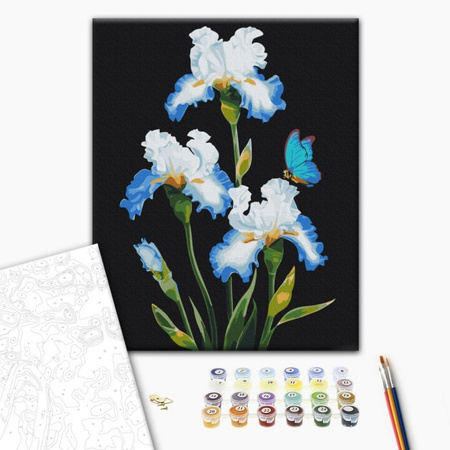 Malowanie po numerach BRUSHME 40x50 cm Irysy