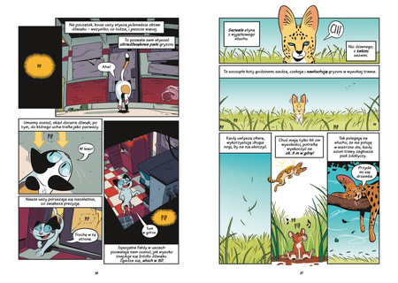 Koty - natura i wychowanie. Naukomiks wyd. 2025