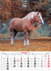 Kalendarz 2026 A3 Konie A3-2