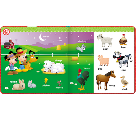 Maluch Elementarz Angielskiego HOPE-9211