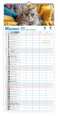 Kalendarz 2026 ścienny paskowy szeroki Koty Kotki Koteczki KPS V6