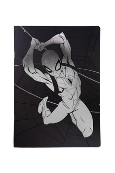 Zeszyt A5 60 k. linia Disney 100 wzór 2