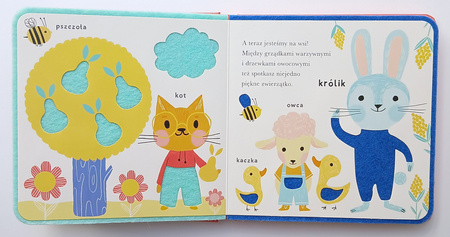 Zwierzątka. Dotykam, czytam, poznaję