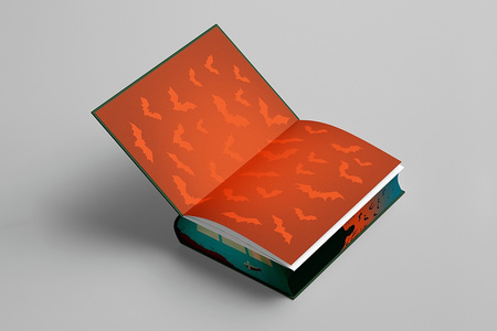 Miasteczko Salem (ilustrowane brzegi)