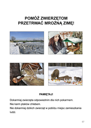 Mój rok Podręcznik dla uczniów z niepełnosprawnością intelektualną