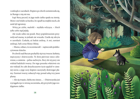 Bury i Bary. Wilk z lasu i pies ze schroniska