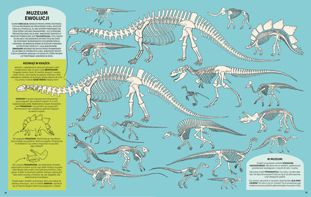 Zagadkowe muzea w Warszawie