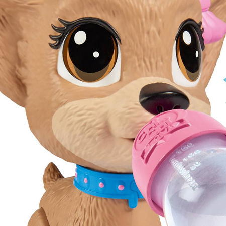 Piesek Chi Chi love Pii Pii Puppy