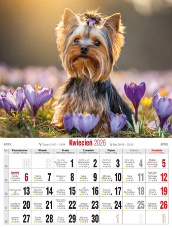 Kalendarz 2026 Psy KSM-3