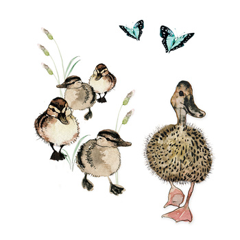 Karnet Swarovski kwadrat CL1220 Kaczki