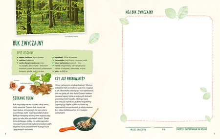 Mój pierwszy zielnik. Zbieram kwiaty, liście i trawy