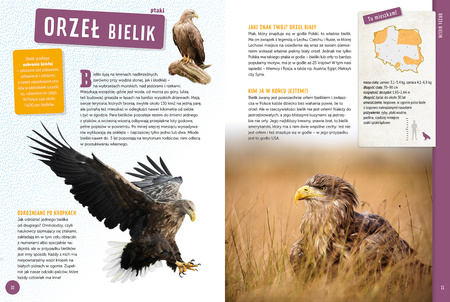 Zwierzęta Polski. Poznaj z nami...