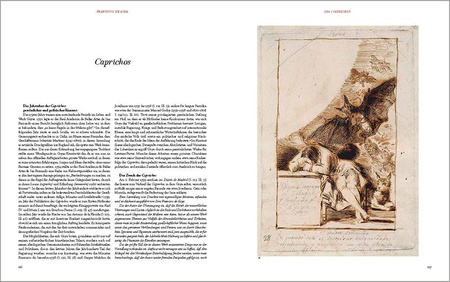 Goya. The Complete Prints