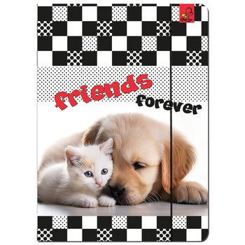 Paczka Teczka A4 z gumką Kot i Pies 5 sztuk