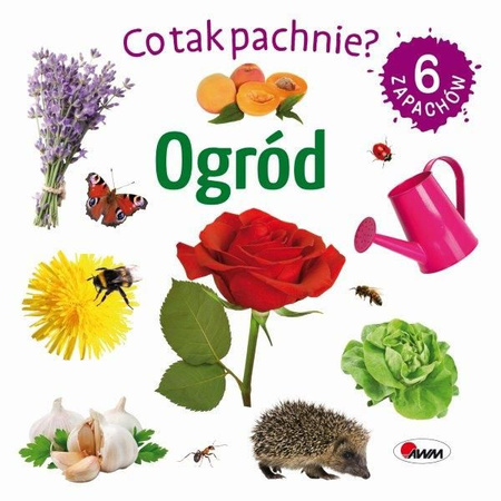 Ogród. Co tak pachnie?