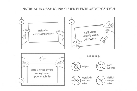 Elektrostatyczny plan lekcji A5 Chłopak