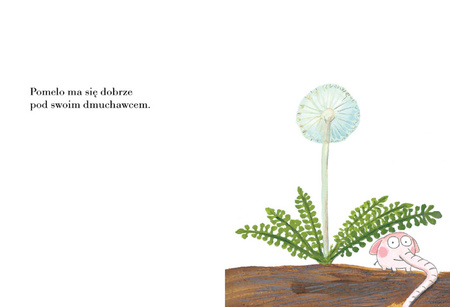 Pomelo ma się dobrze pod swoim dmuchawcem